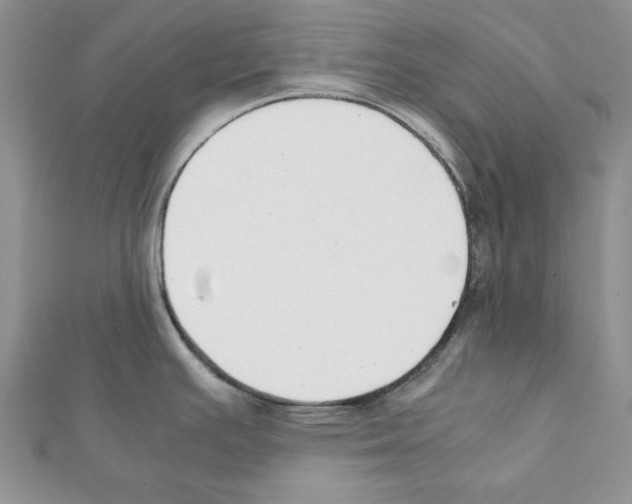 X0000111351391200908211225