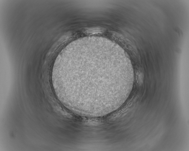 X0000111351393200908211224