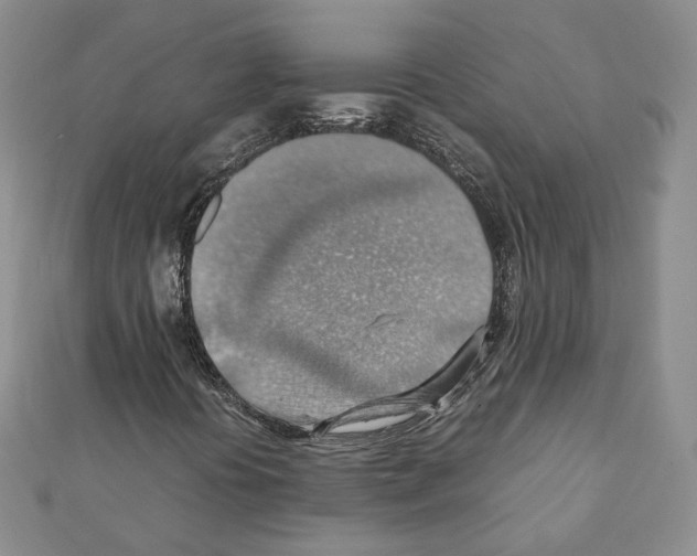 X0000111351394200908211224
