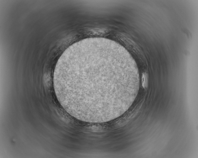 X0000111351395200908211224