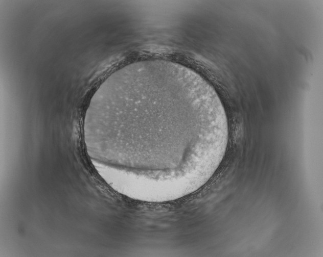 X0000111351397200908211224