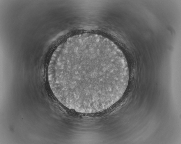 X0000111351398200908211224
