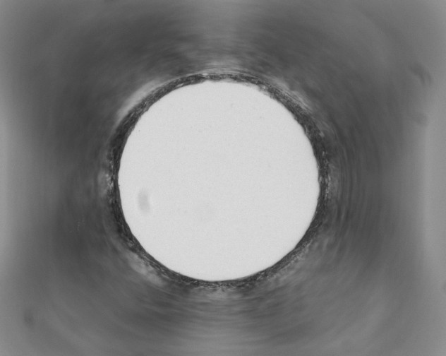 X0000111351400200908211224