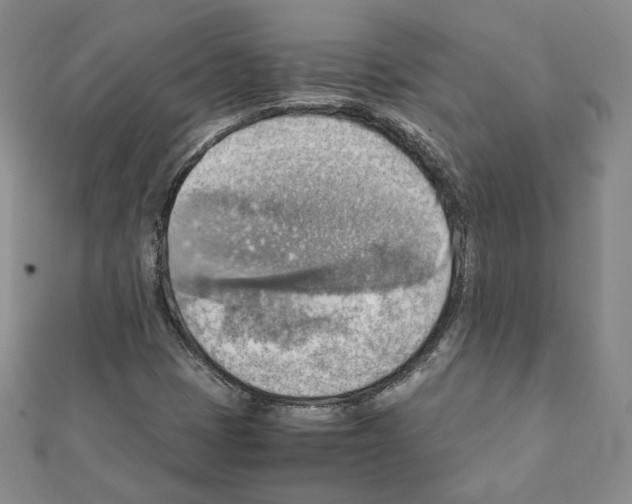 X0000111351401200908211225