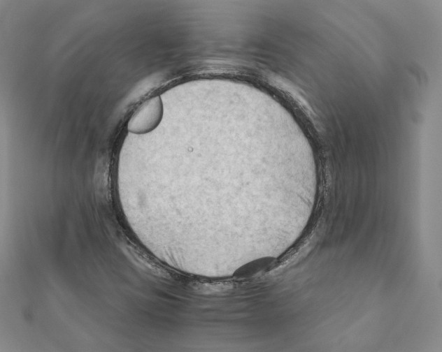 X0000111351403200908211225