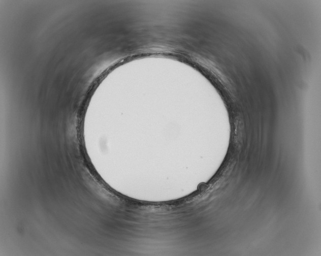 X0000111351404200908211225