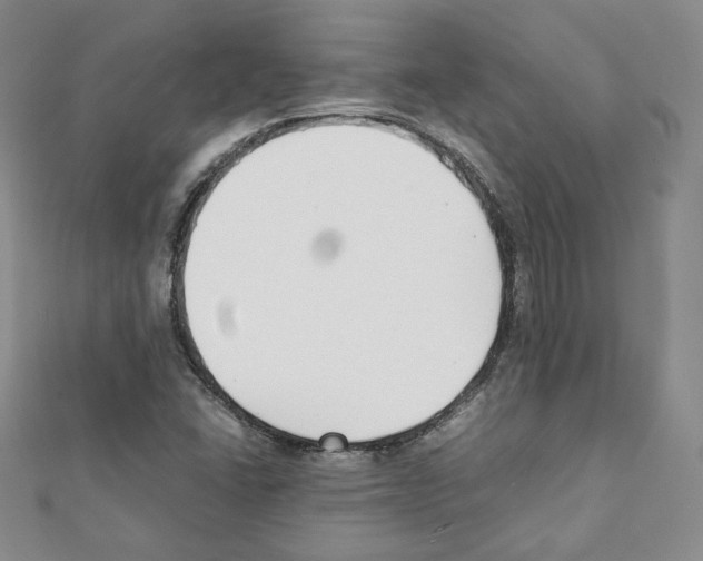 X0000111351406200908211225