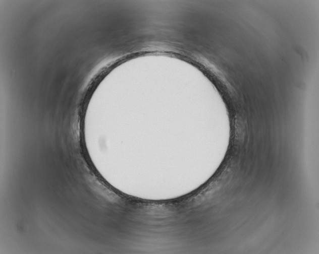X0000111351408200908211225