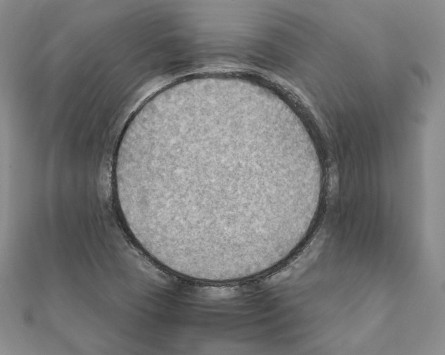 X0000111351409200908211225