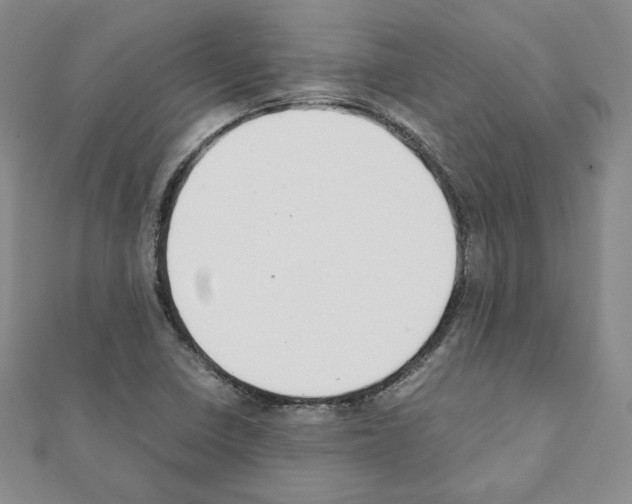 X0000111351410200908211225