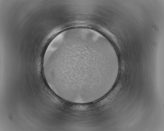 X0000111351411200908211225