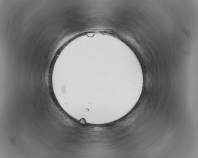 X0000111351412200908211225