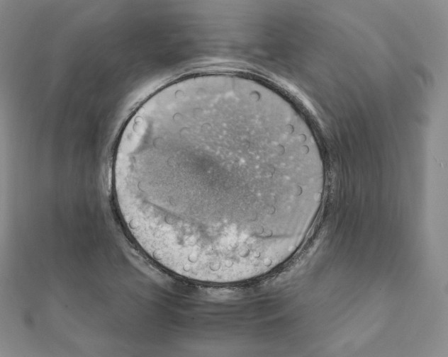 X0000111351413200908211225