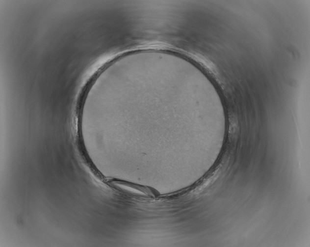 X0000111351414200908211225