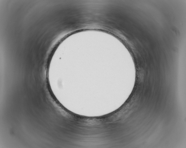 X0000111351416200908211225