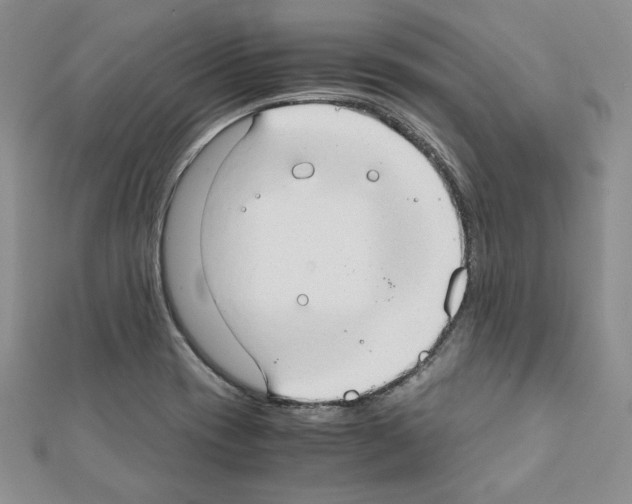X0000111351417200908211225