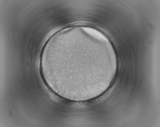 X0000111351418200908211225