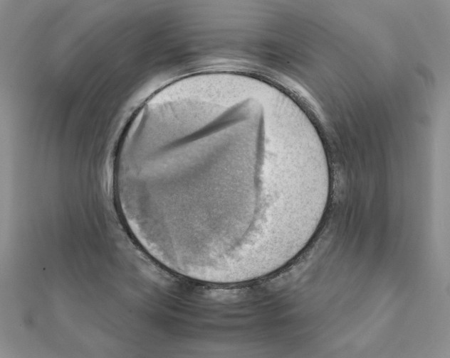 X0000111351419200908211225