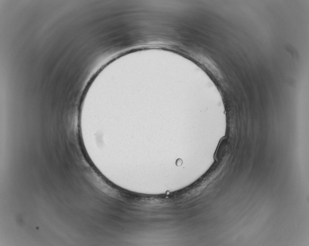 X0000111351420200908211225