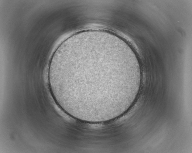 X0000111351421200908211225