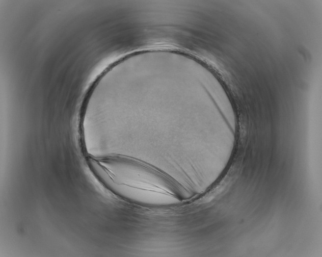 X0000111351422200908211225