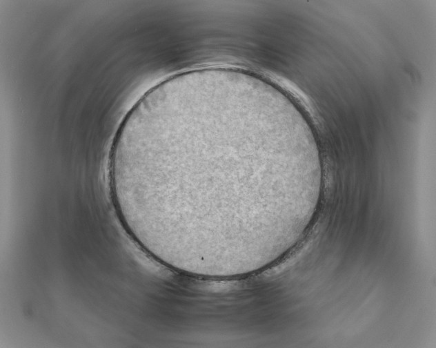 X0000111351423200908211225