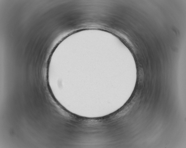 X0000111351424200908211225