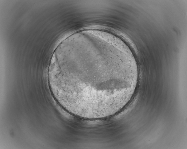 X0000111351425200908211225