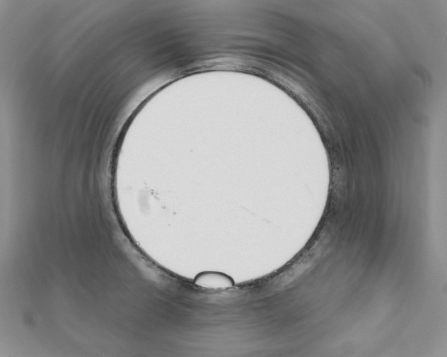 X0000111351426200908211225