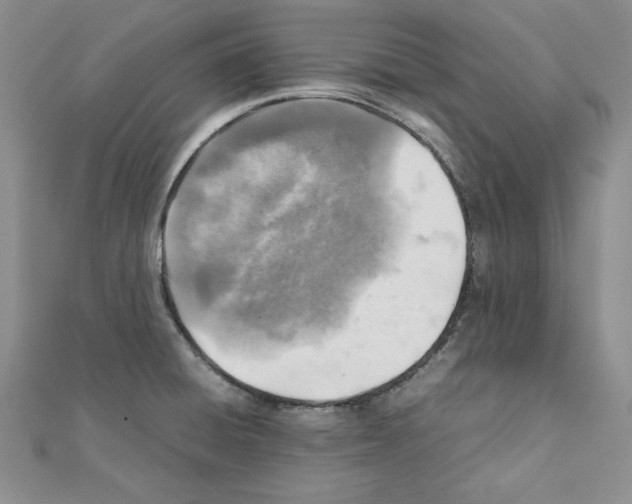 X0000111351428200908211225