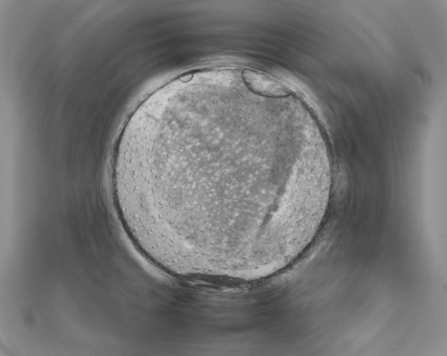 X0000111351429200908211225