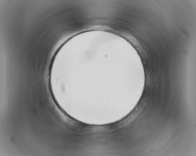 X0000111351430200908211225