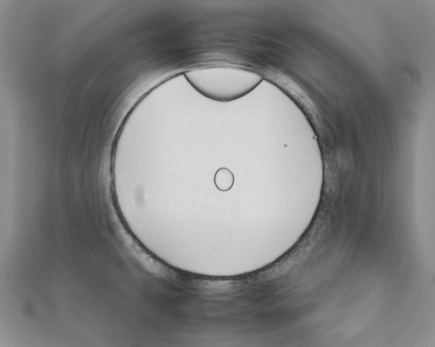 X0000111351431200908211225