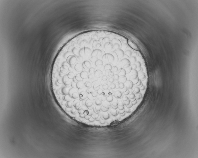 X0000111351432200908211225