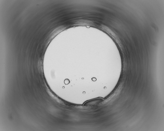 X0000111351433200908211225