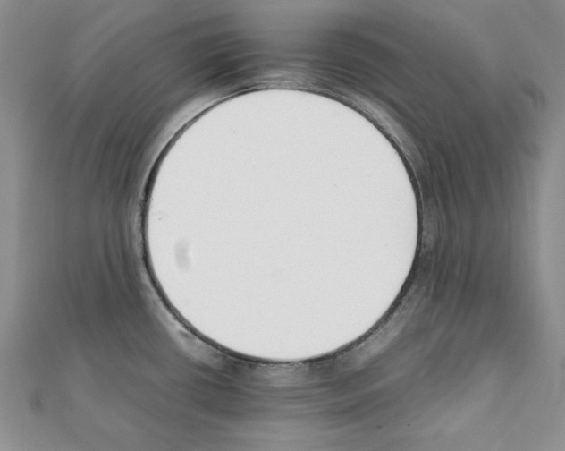 X0000111351434200908211225
