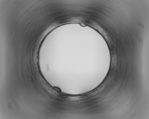 X0000111351435200908211225