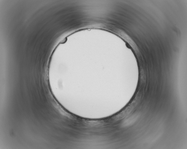 X0000111351436200908211225