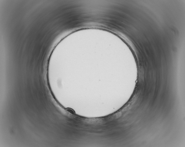 X0000111351437200908211225