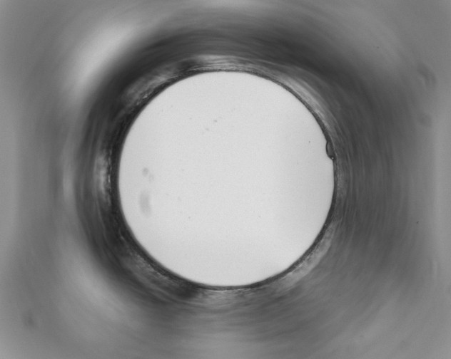 X0000111351438200908211225