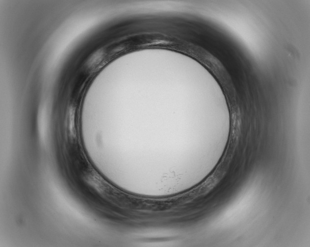 X0000111351439200908211225