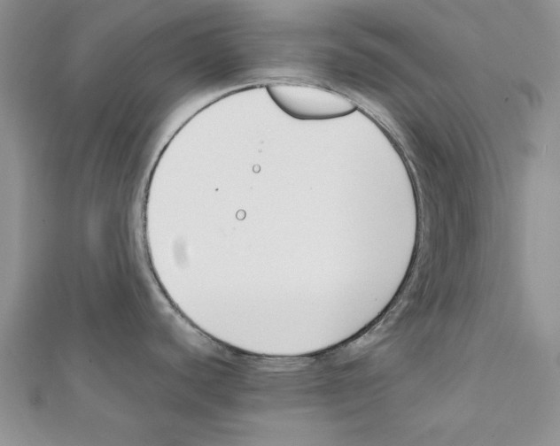 X0000111351440200908211225