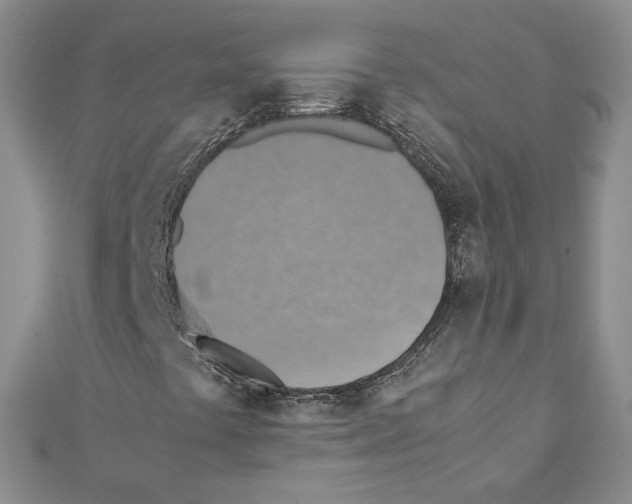 X0000111351441200908211224