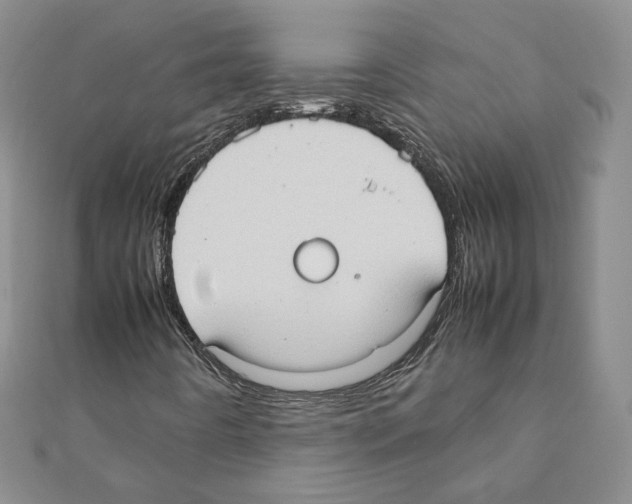 X0000111351442200908211224