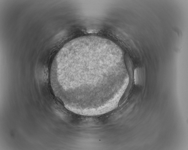 X0000111351443200908211224