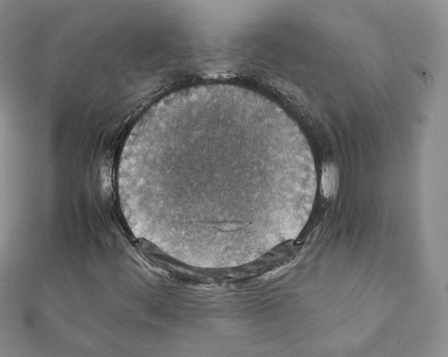 X0000111351444200908211224