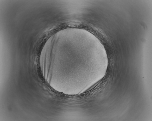 X0000111351445200908211224