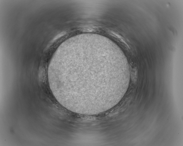 X0000111351446200908211224