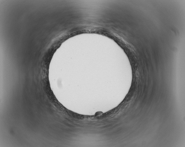 X0000111351447200908211224