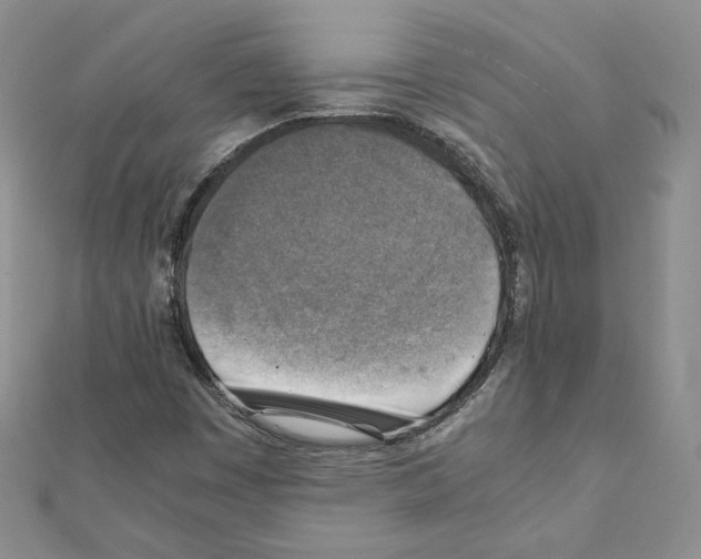 X0000111351449200908211224